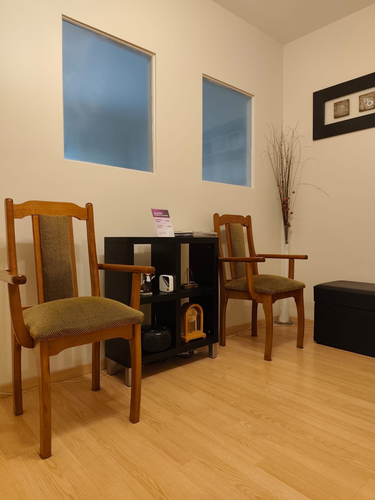 Dra. Veronica Trivisonno en su estudio jurídico en Mar del Plata